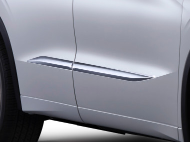 КОМПЛЕКТ МОЛДИНГІВ ДВЕРЕЙ