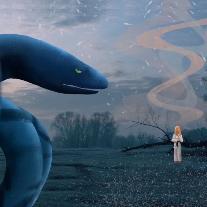ANACONDA